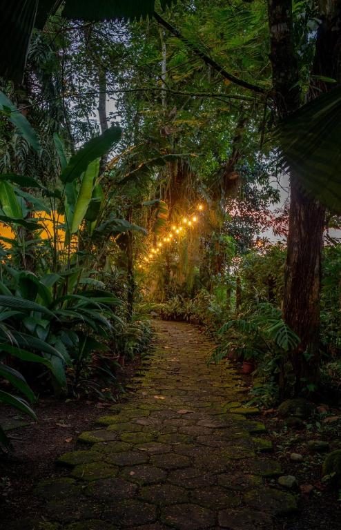 a path in a forest with trees and lights at La Pérgola lodge in Sarapiquí