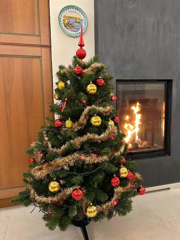 Φωτογραφία από το άλμπουμ του B&B Bee σε Frascati