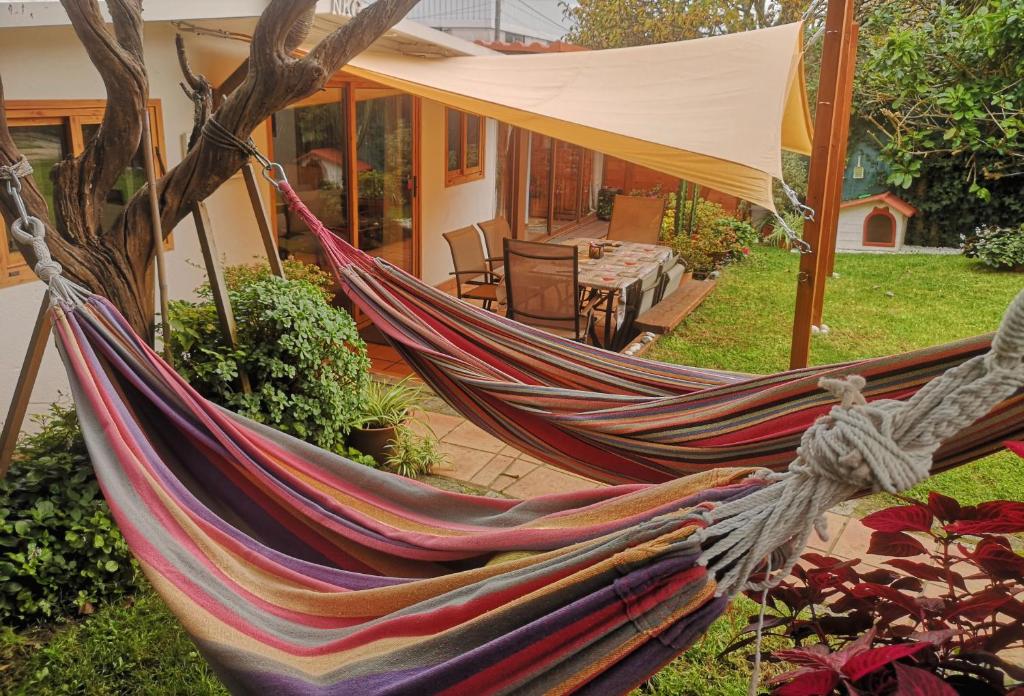 En have udenfor CASITA NEKAGARDEN