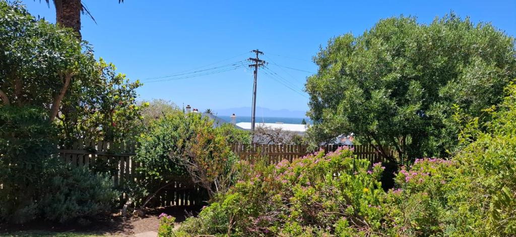un jardin avec des arbres et des fleurs et une clôture dans l'établissement Kalk Bay Apartment, à Kalk Bay