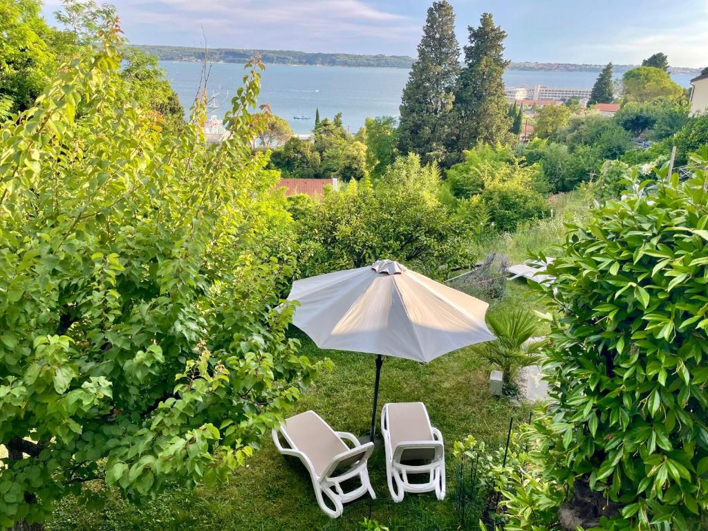 Φυσικό τοπίο κοντά σε αυτό το διαμέρισμα