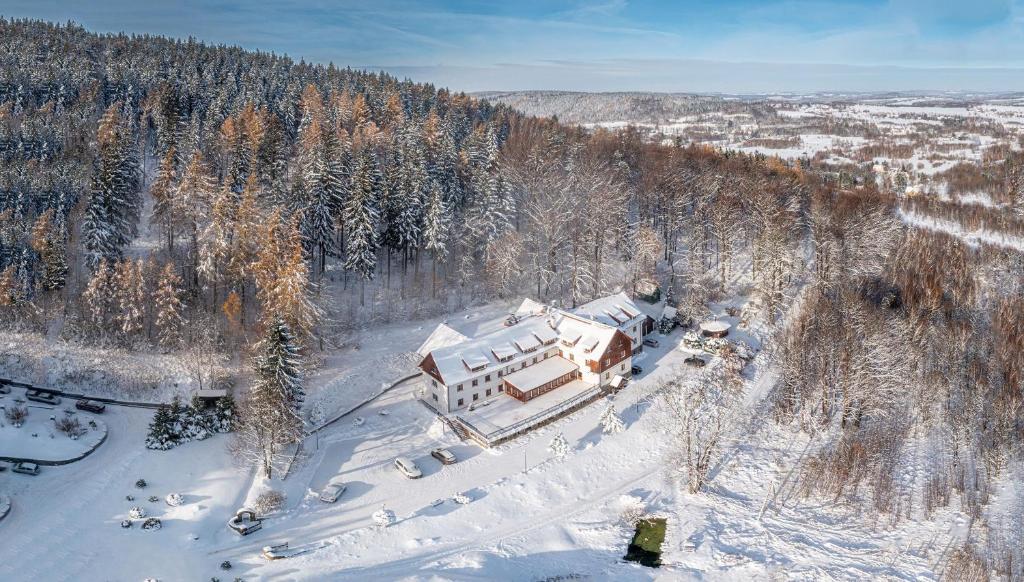 Hotel Le Mont Medical & SPA - 15