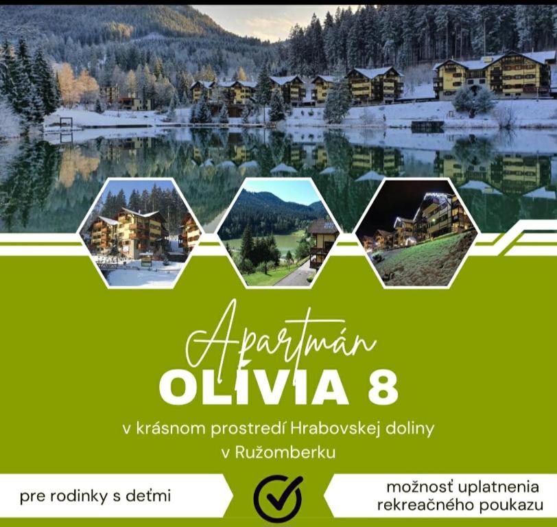 ein Flyer für eine Wohnung Olivia Resortigated Hockingodaoda in der Unterkunft Apartmán Olívia 8 Hrabovská dolina in Ružomberok