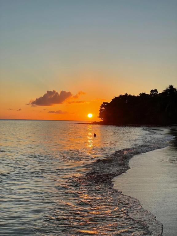 Φυσικό τοπίο κοντά σε αυτό το διαμέρισμα