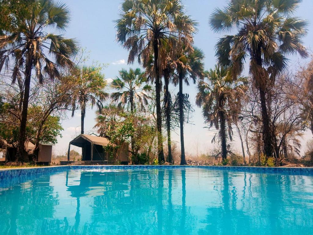 Bazén v ubytování Royal South Luangwa Safaris Lodge nebo v jeho okolí