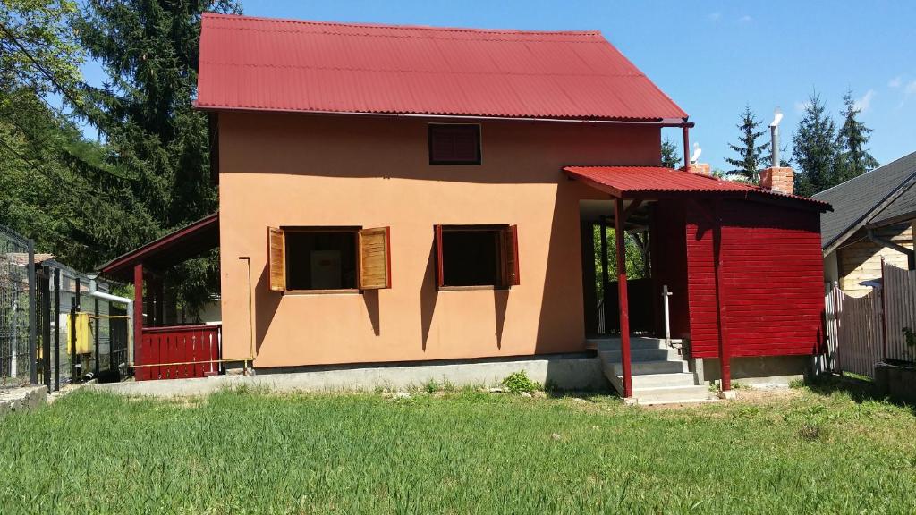 a small house with a red roof in a yard at Villa ALVIK in Geoagiu Băi
