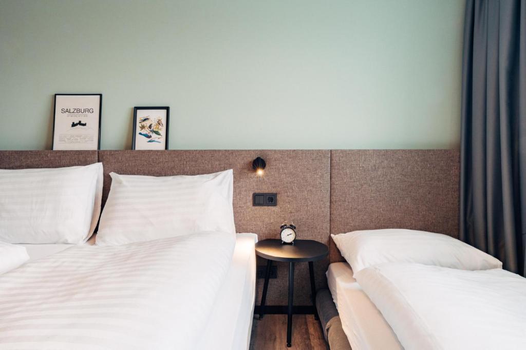 harry's home Salzburg - 13