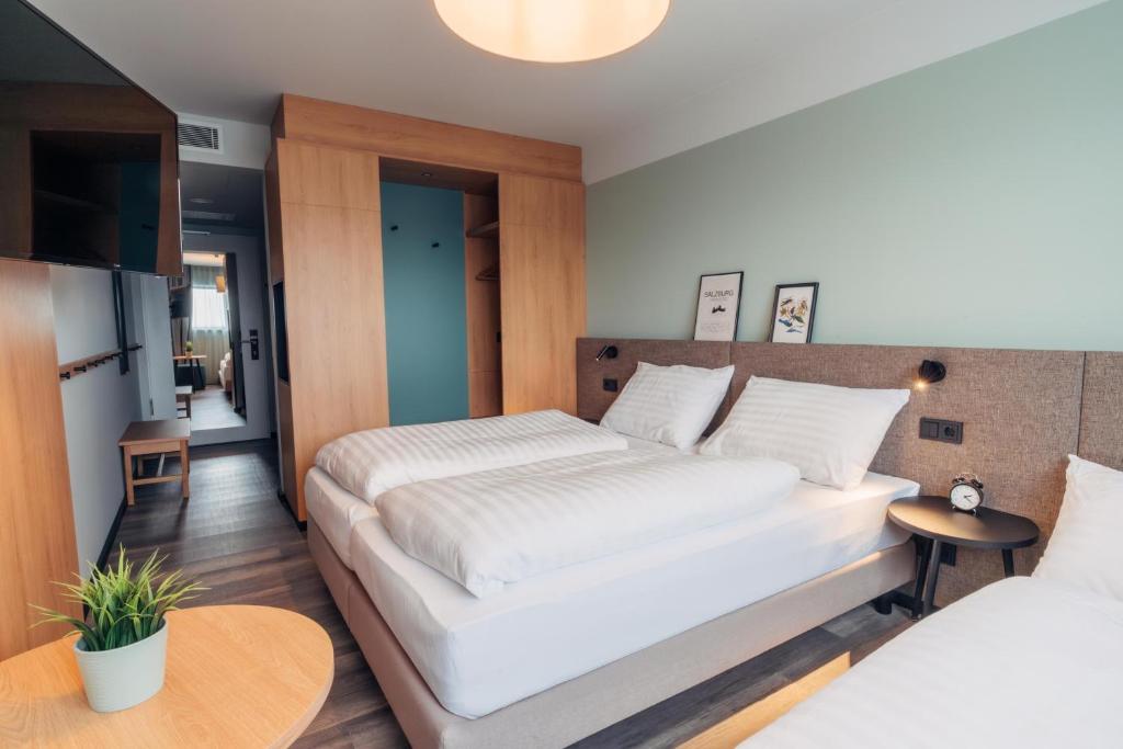 harry's home Salzburg - 14