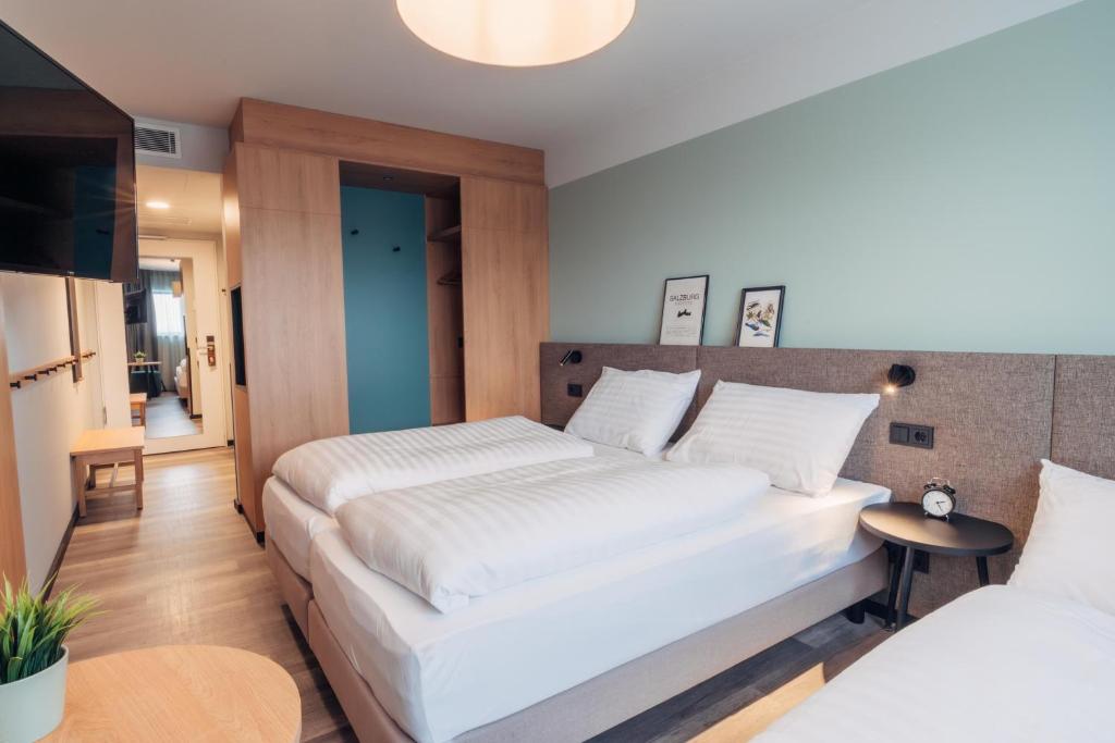 harry's home Salzburg - 15