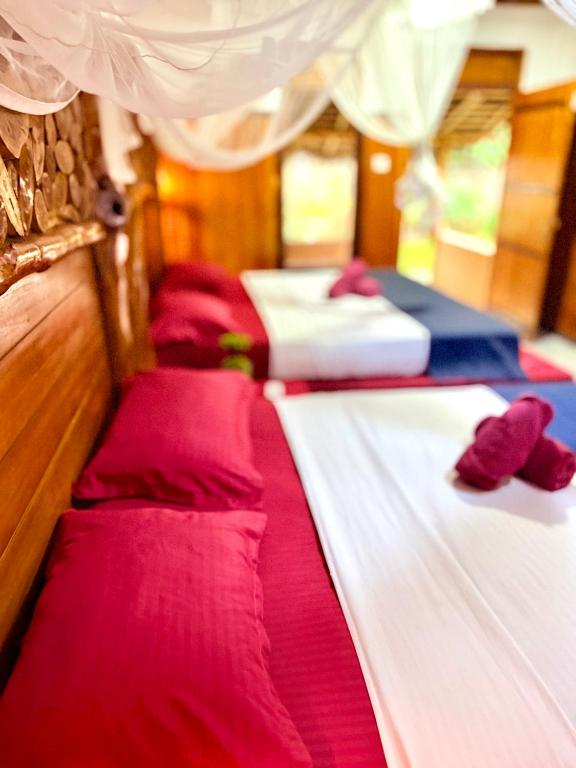 Maika Safari Lodge - 11