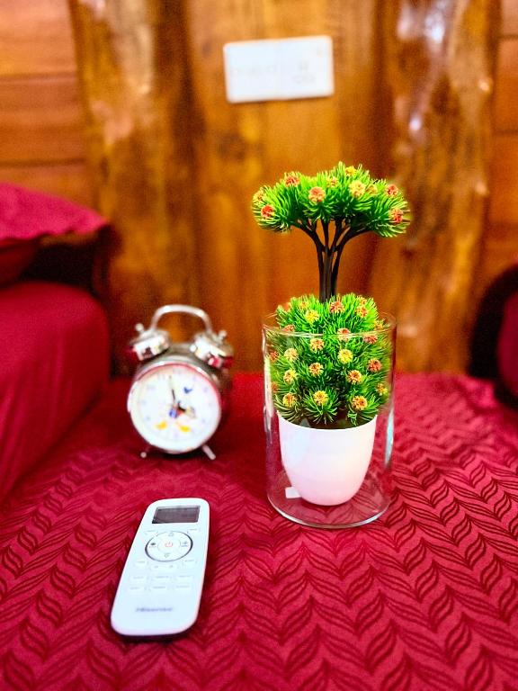 Maika Safari Lodge - 3