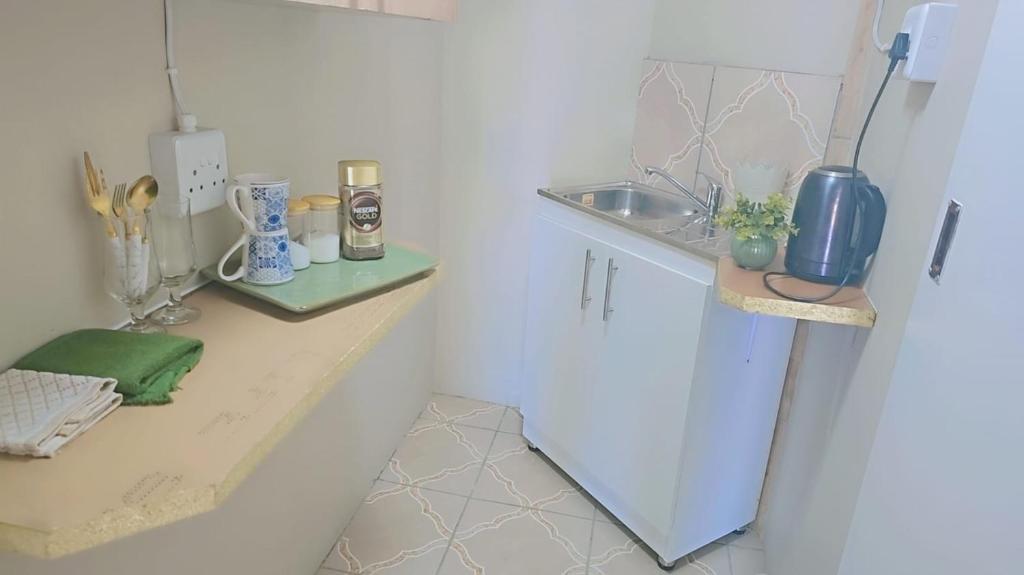 Η κουζίνα ή μικρή κουζίνα στο Chaudhray accommodation