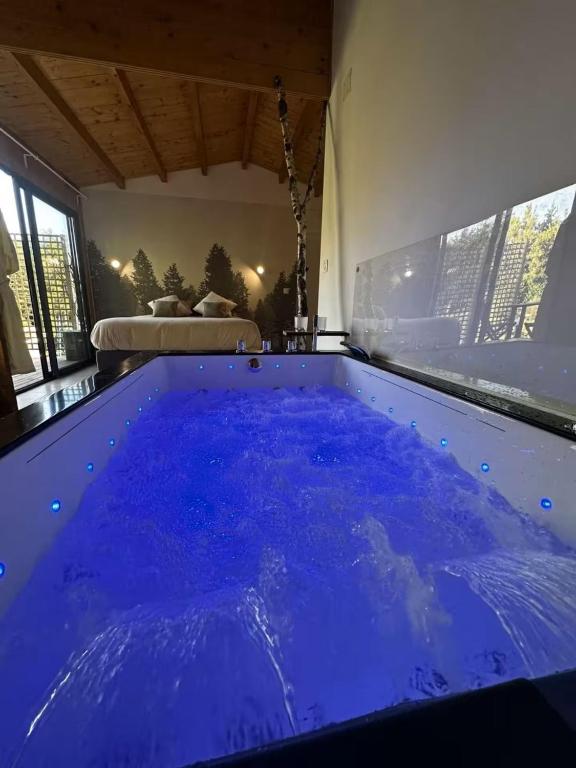 a large tub filled with blue water in a room at Domaine des Pins La cabane au bord de l'eau 
