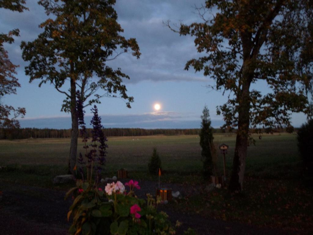 Příroda nedaleko bed and breakfast