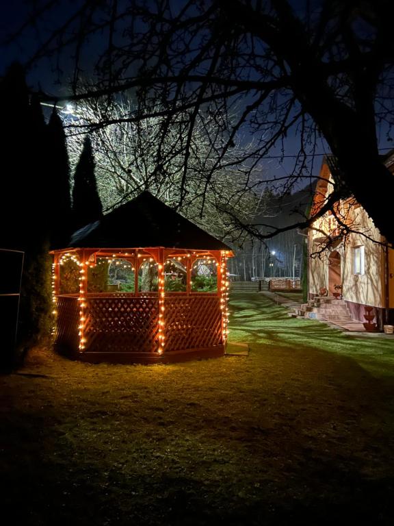 a house covered in lights in a yard at night at Insieme in Vidra