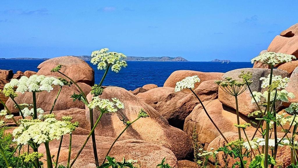 Φυσικό τοπίο κοντά σε αυτό το bed & breakfast