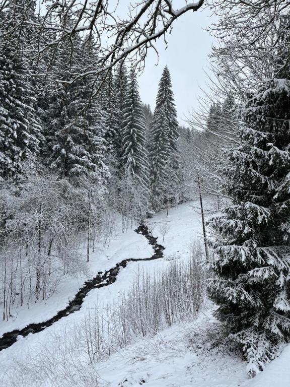 Jasmínový Ráj - 12