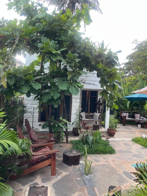 En have udenfor Kwa Nzeu