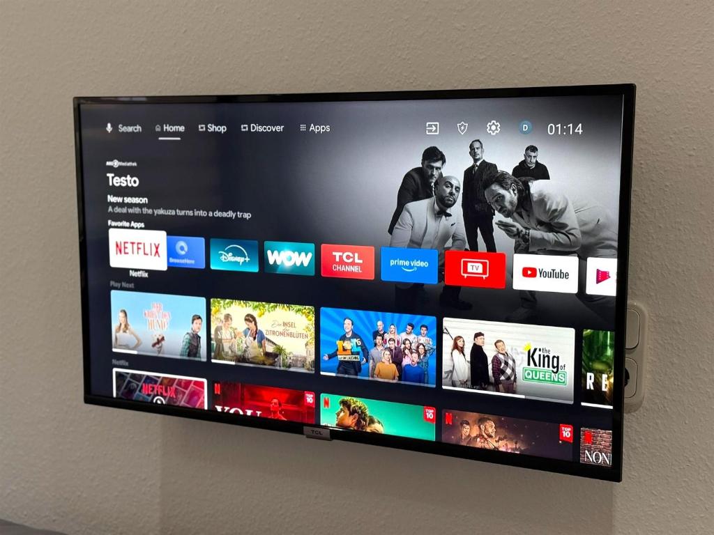 Et tv og/eller underholdning på Wiesbaden Mainz kleines Haus mit Garten Grill