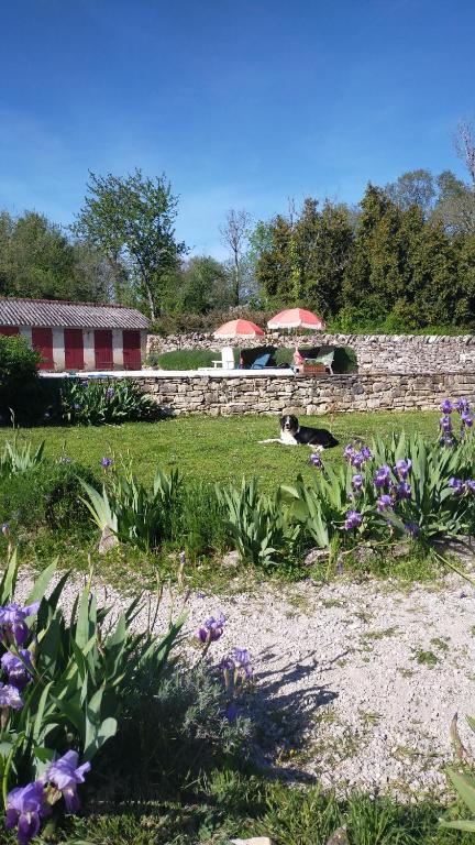 Κήπος έξω από το L'écurie du Mas