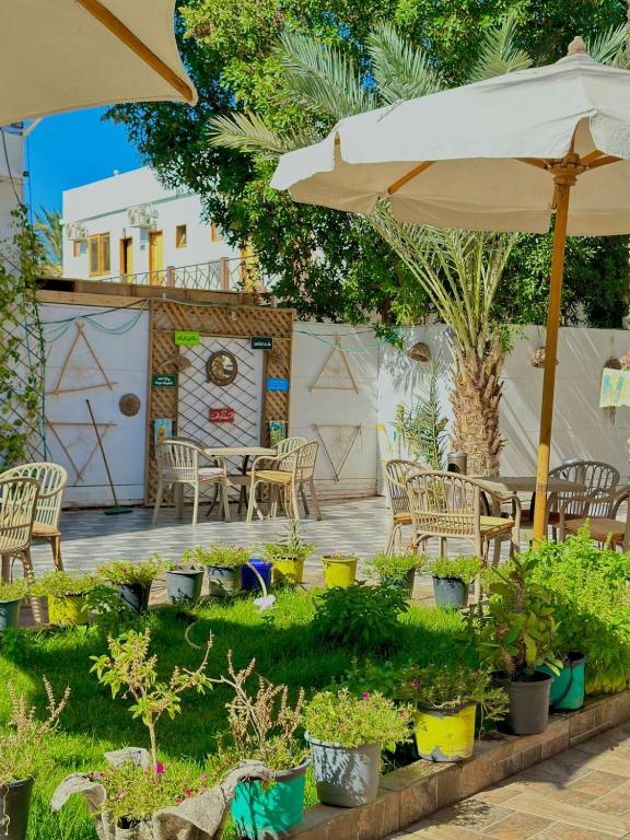 a patio with a table and chairs and an umbrella at camp caesar in Dahab