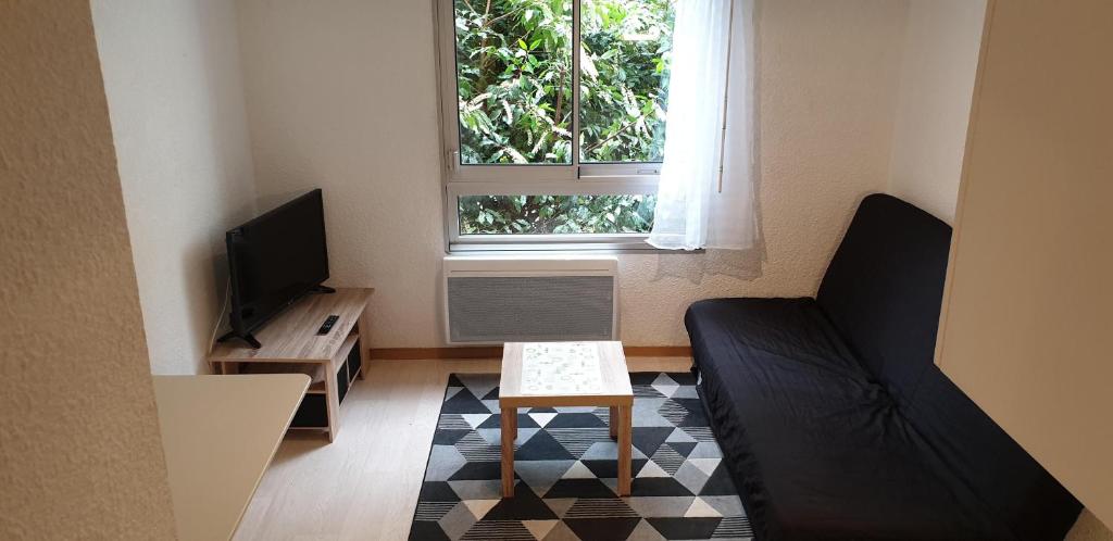 a living room with a couch and a tv and a window at Studio meublé centre ville Paray A4 in Paray-le-Monial
