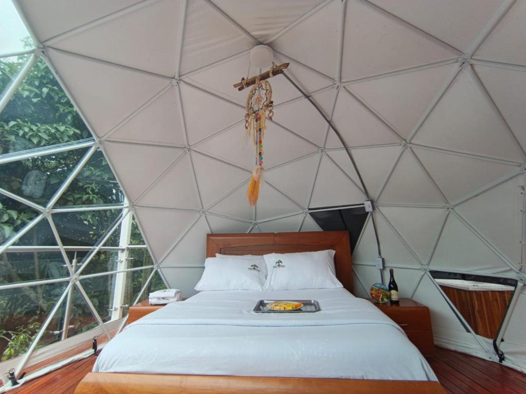 a room with a bed in a dome tent at Glamping Morpho Azul Silvania Cundinamarca in Silvania