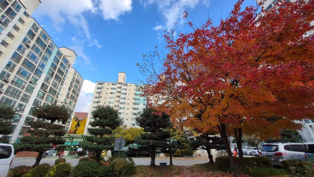 Billede fra billedgalleriet på Nick's home i Ilsan-ni