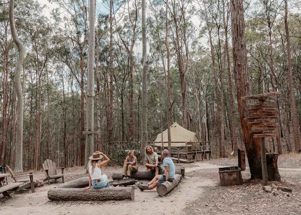 a group of people sitting on logs in a forest at Kookaburra Ridge in Wyee