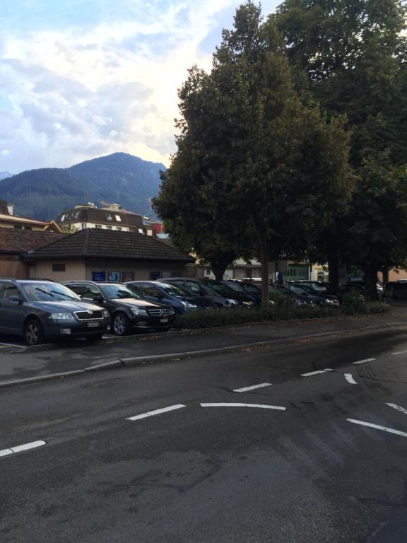 Interlaken Linda Inn Lodge - Resim 11