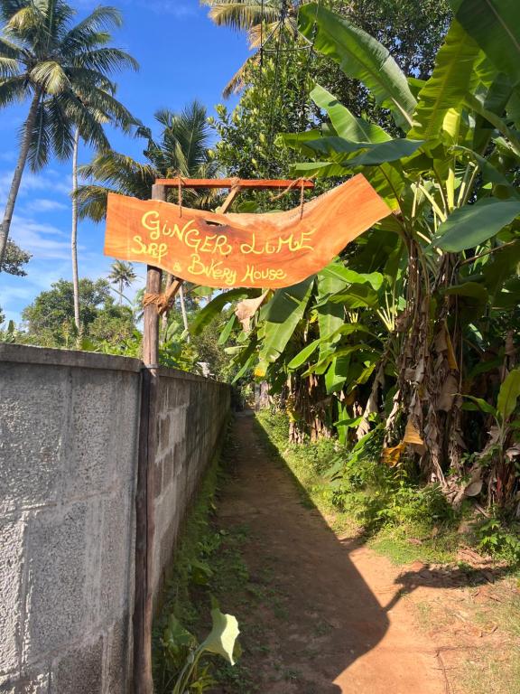 Κήπος έξω από το GingerLime Surf and Bakery House