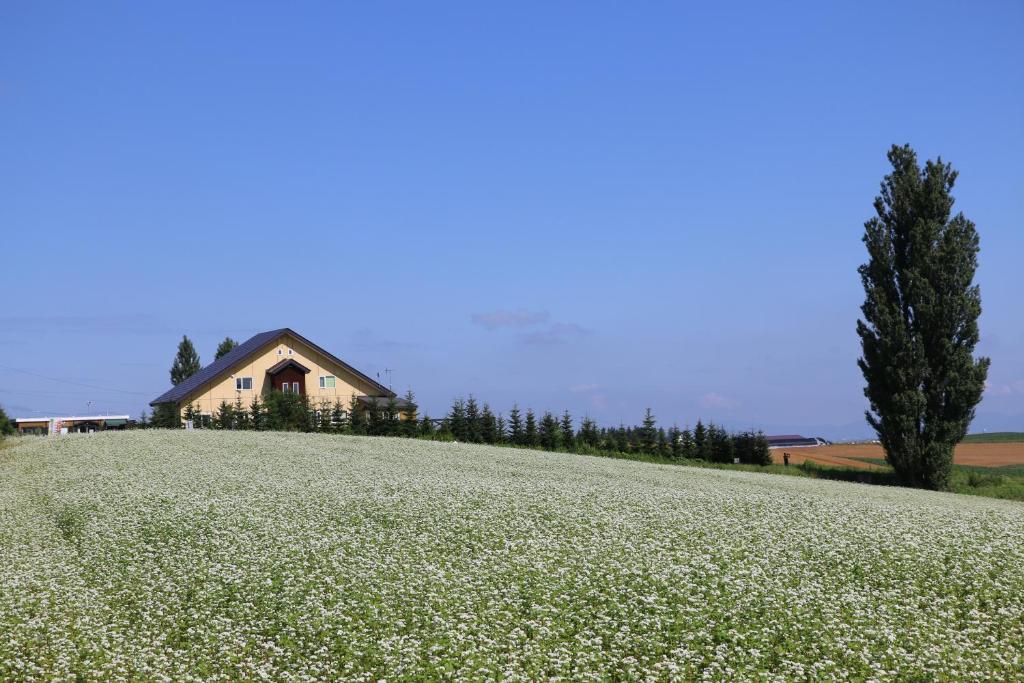 a house on a hill with a field of flowers at Pension Ken&Mary in Biei