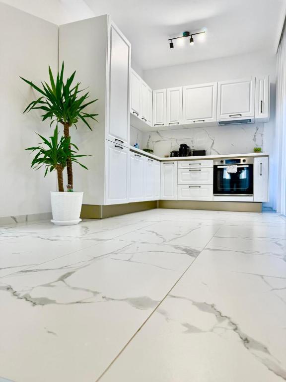 a kitchen with white cabinets and a potted plant at Malvina Apartments Cazare Mures in Târgu-Mureş