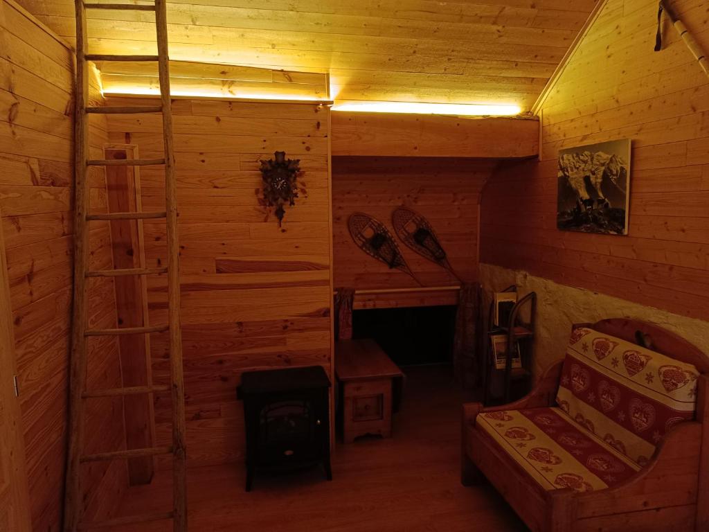 a room with a ladder and a bed in a cabin at Chambre Tarentaise chez les garçons in Saint-Paul-sur-Yenne