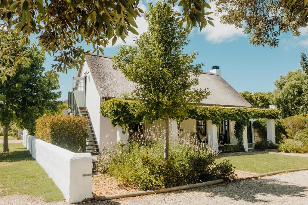 a white house with a tree in front of it at Dove Cottage in Stanford