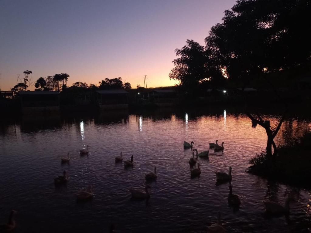 Naturlandskabet i nærheden af bed and breakfast-stedet