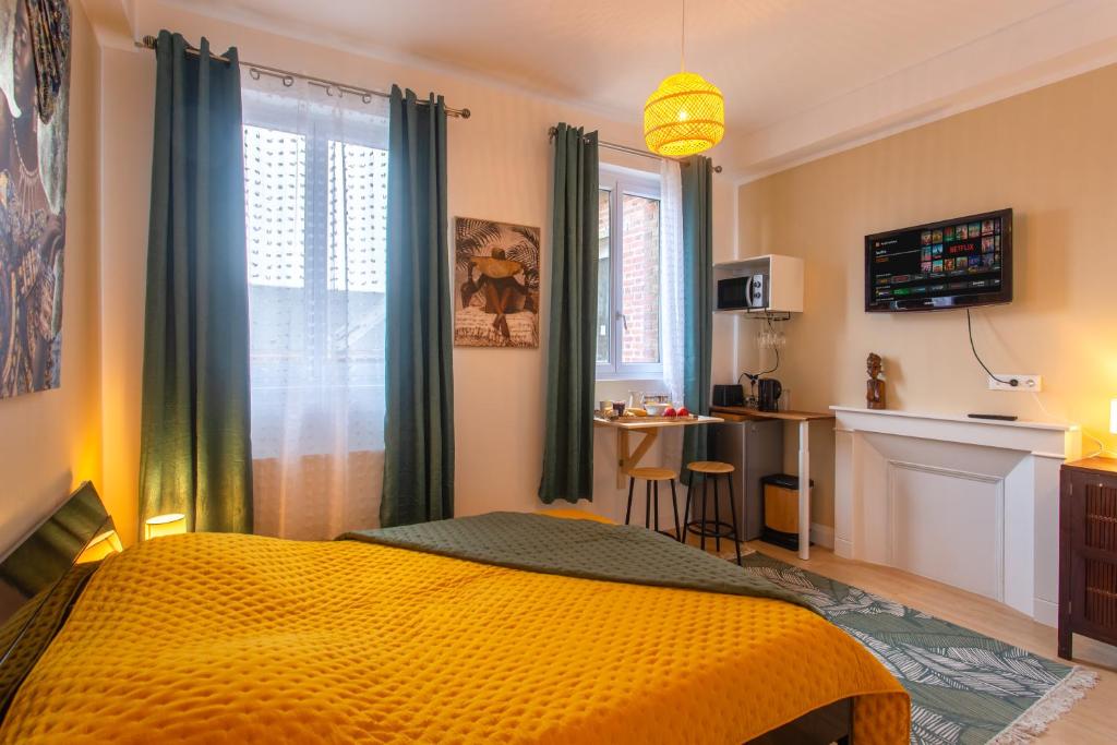 TV/trung tâm giải trí tại Studio Coeur Ville TV Wifi Parking Lave Linge