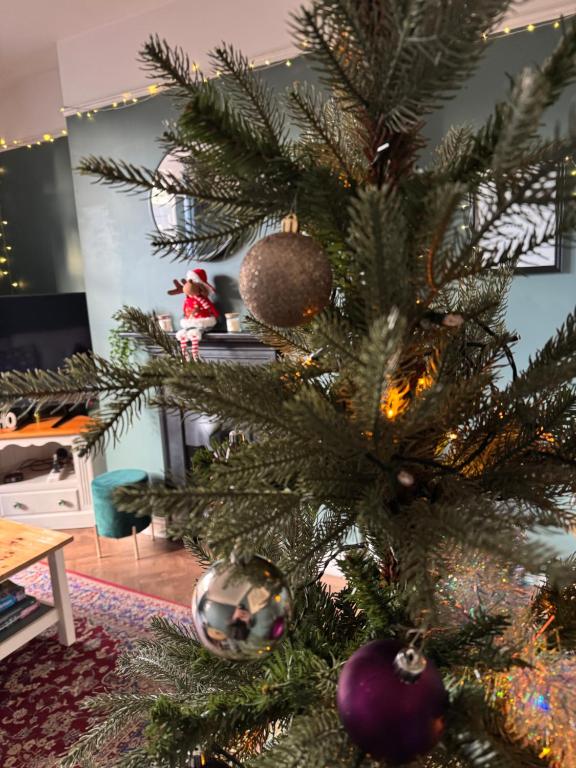 Fotografie z fotogalerie ubytování Cartref - Fully equipped and stunning town flat v destinaci Shrewsbury