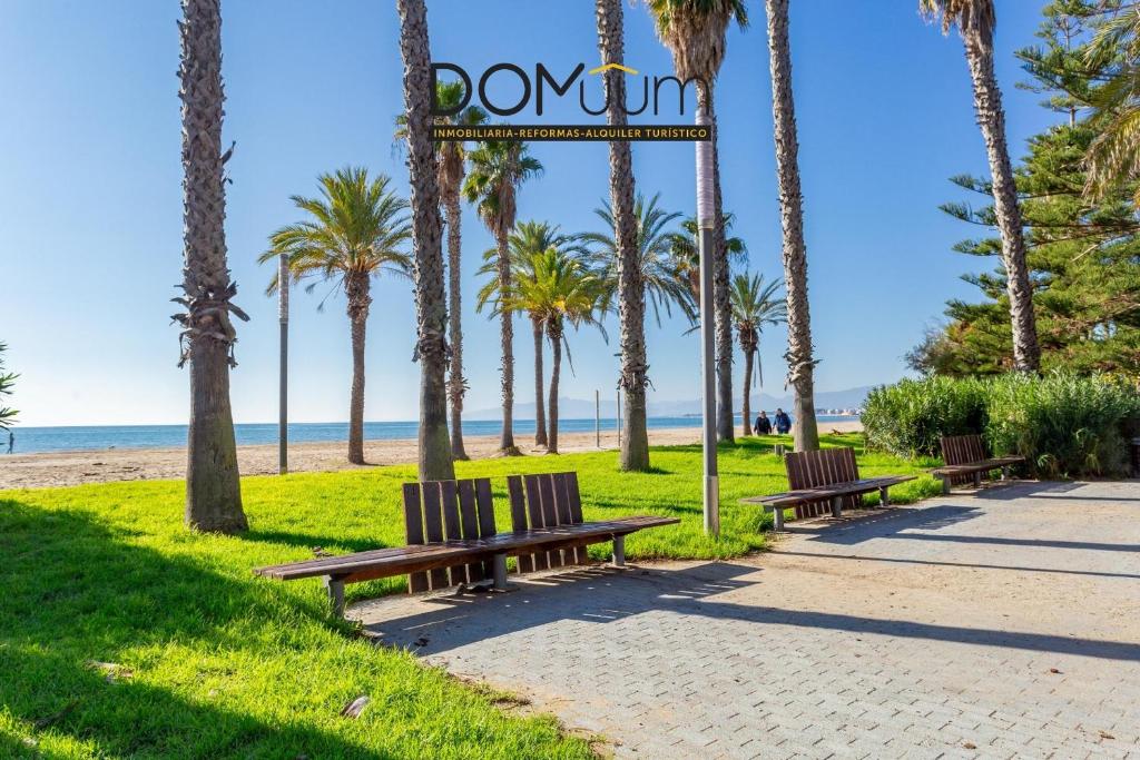 a row of benches on the beach with palm trees at DOMuum Holidays - DELFOS in Salou
