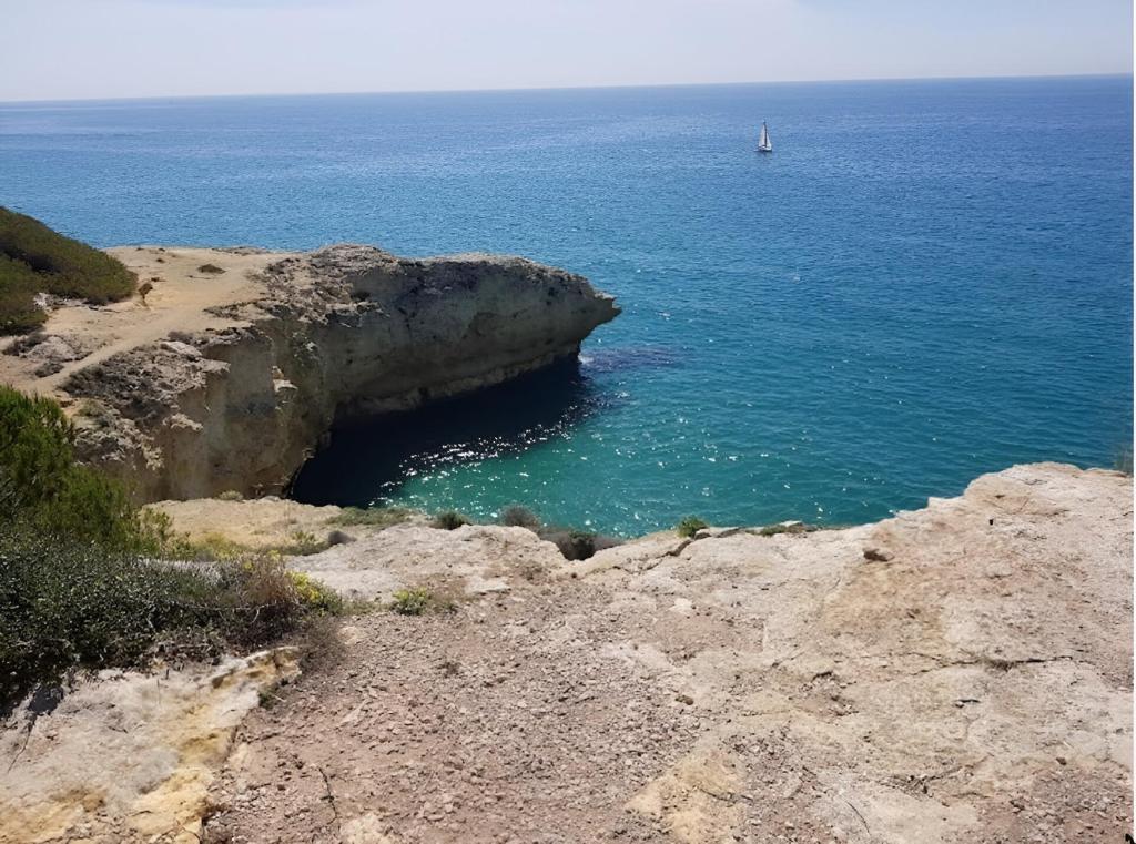 Naturlandskabet i nærheden af villaen