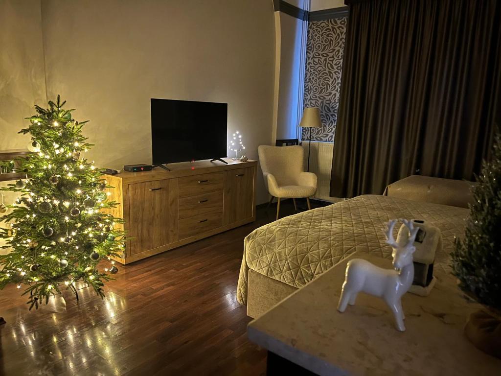 TV a/nebo společenská místnost v ubytování Mohács Korona Apartman