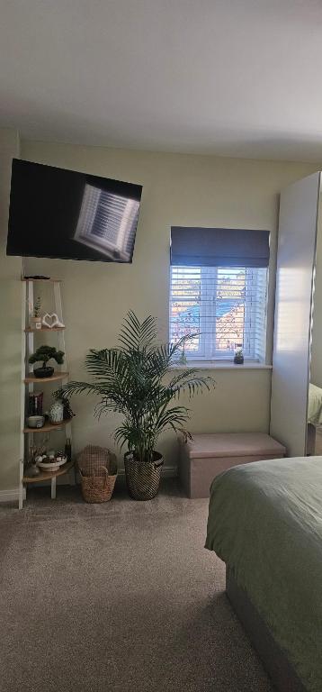 a bedroom with a bed and a plant and a window at Hart's Place in Leicester