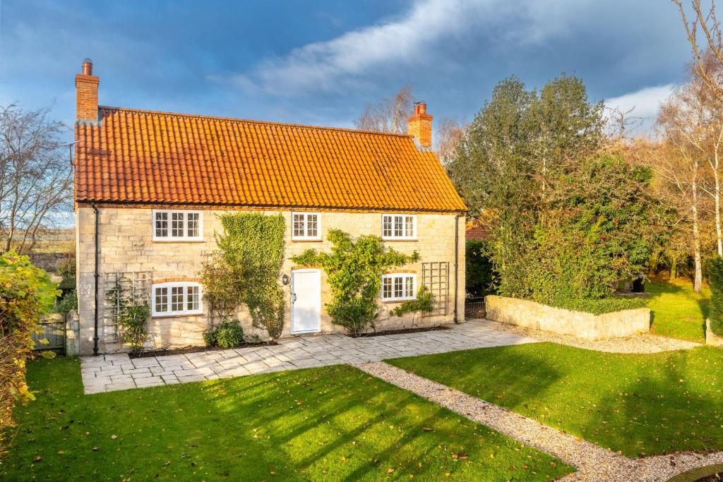 En have udenfor Abbey Grange