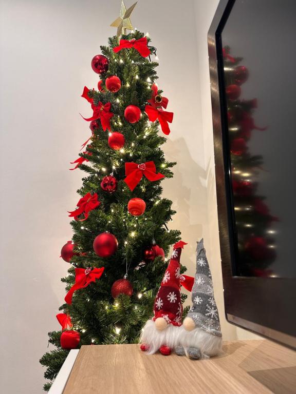 Fotografie z fotogalerie ubytování Apartamento de Pau v destinaci Laredo