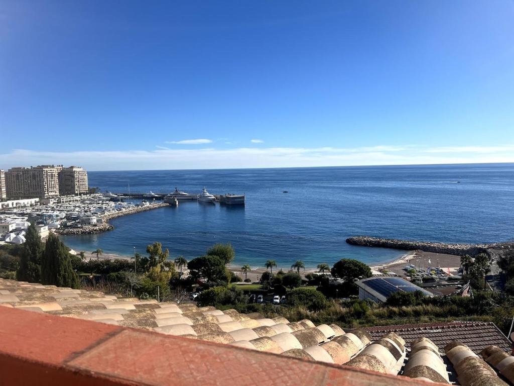 Cap d'Ail - Studio - Terrace with sea view - Malabo في كاب دايل: منظر للميناء مع قوارب في الماء