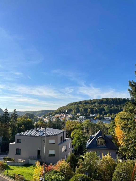 Spacious house next Kirchberg-Centre with parking