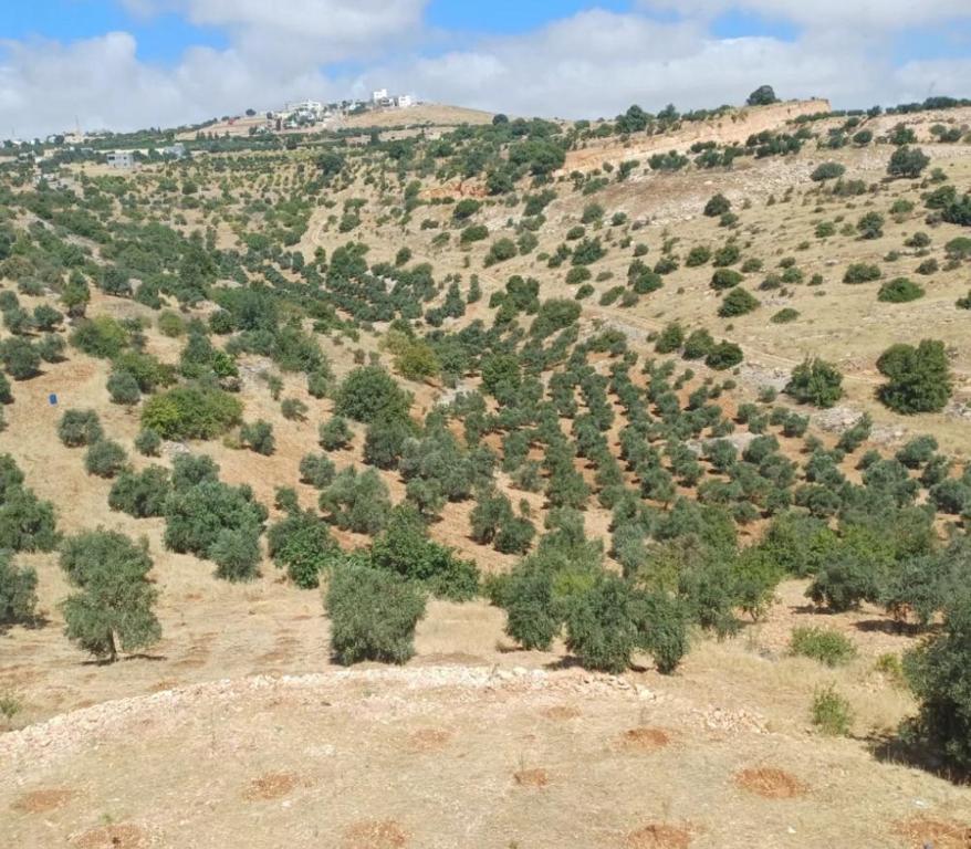 Příroda nedaleko prázdninového domu