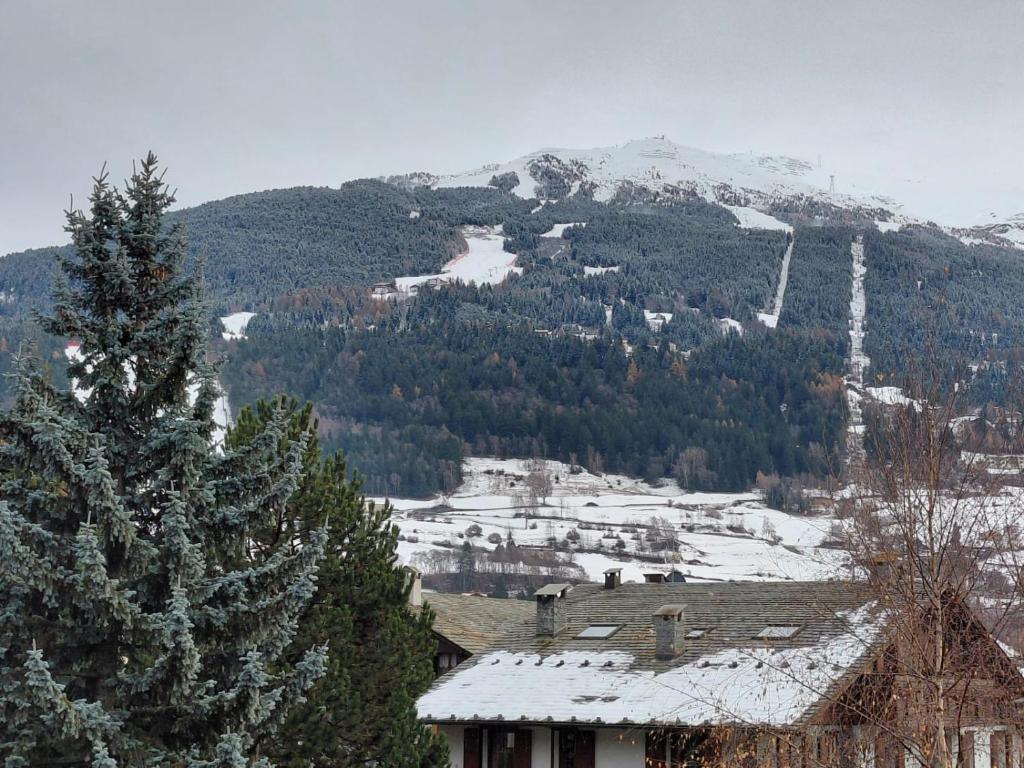 Bormio 5 villa في بورميو: جبل مغطى بالثلج مع منزل شجرة صنوبر