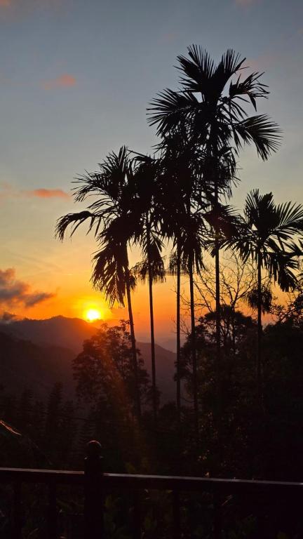 a sunset with palm trees in the foreground at Nest & Nook Ella in Ella