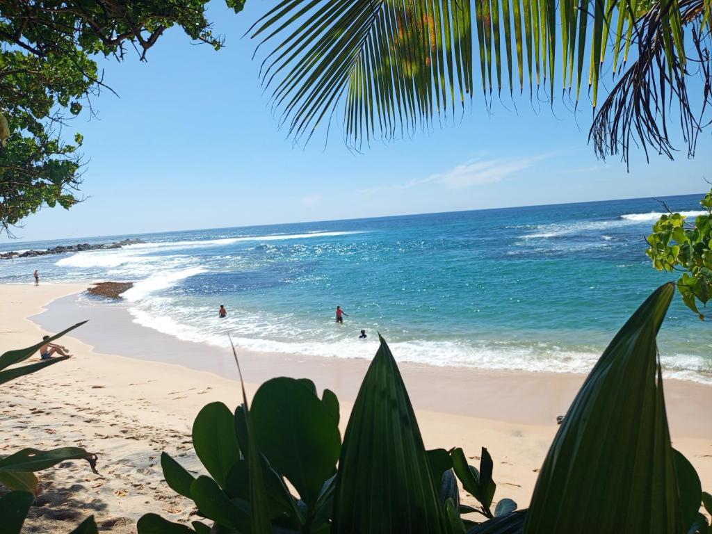 Příroda nedaleko penzionu